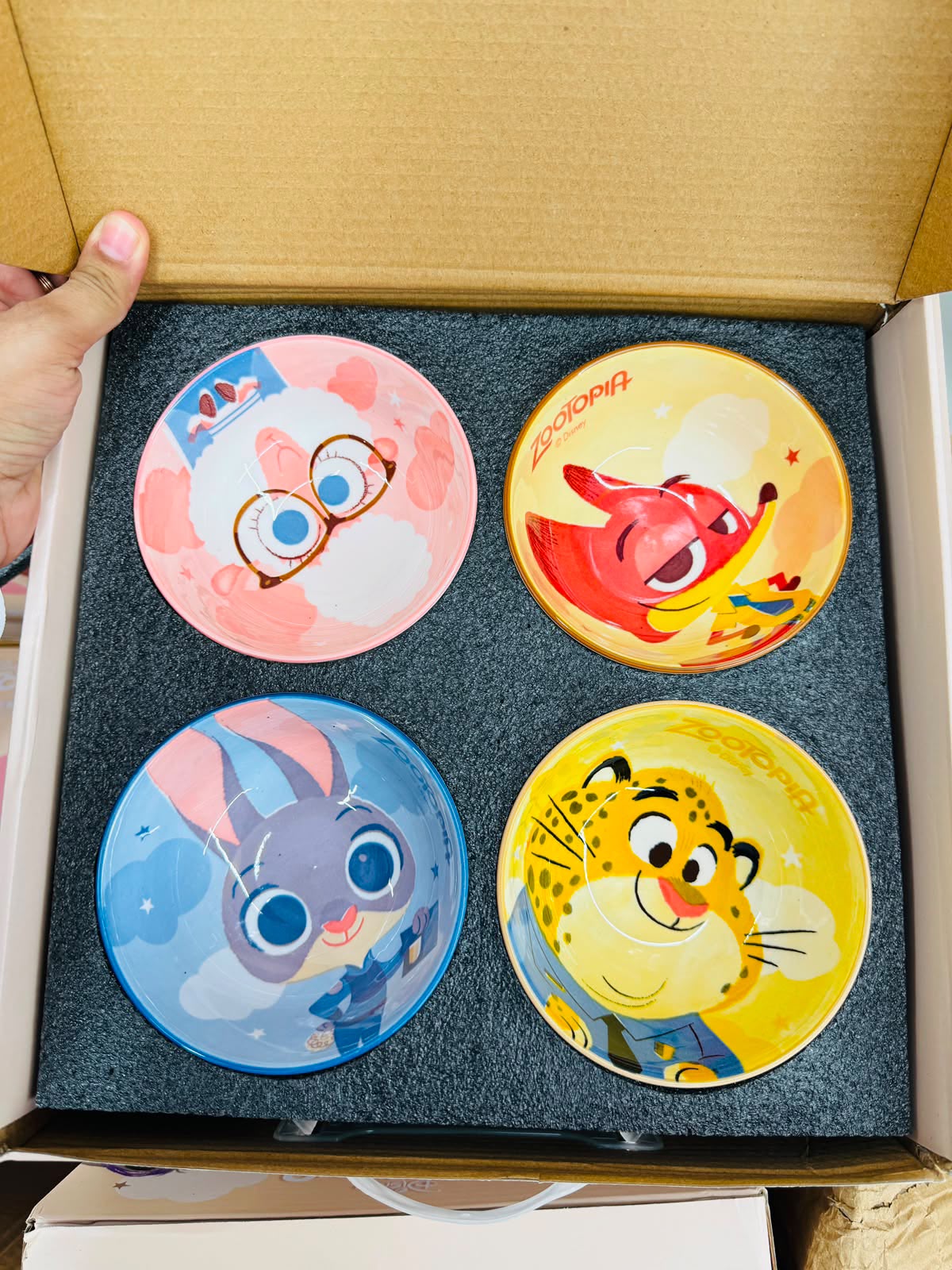 Zootopia Ceramic Bowl Gift Set of 4 | Cherry Charms